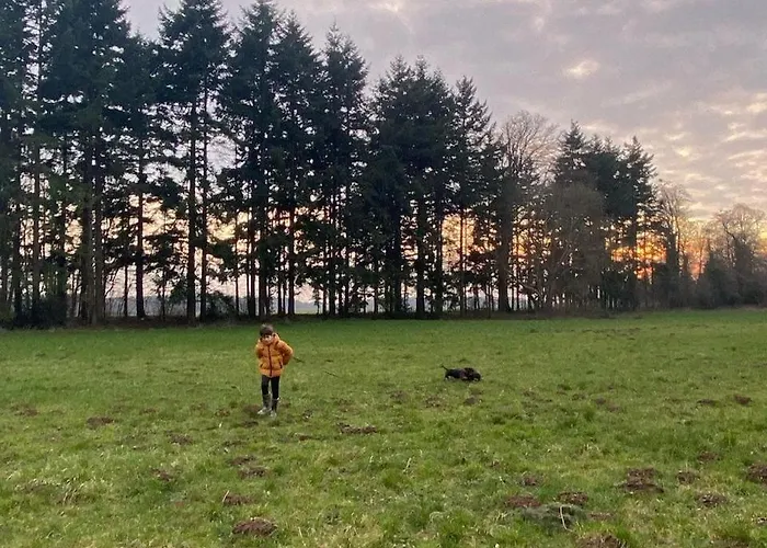 Au Vieux Chateau Guest house Villotran