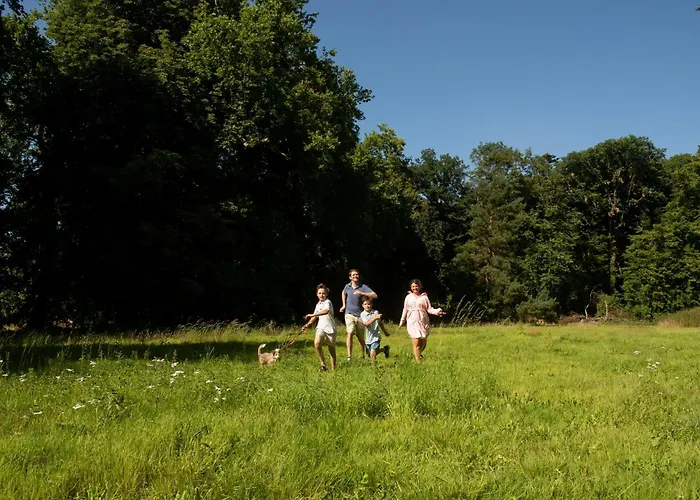 Guest house Au Vieux Chateau 4*